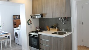 Une cuisine de taille réduite équipée d’un lave-linge, d’un four et d’un évier.