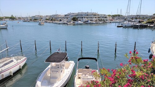 Holidays in MARINA in PORT CAMARGUE and 100m from the beach!