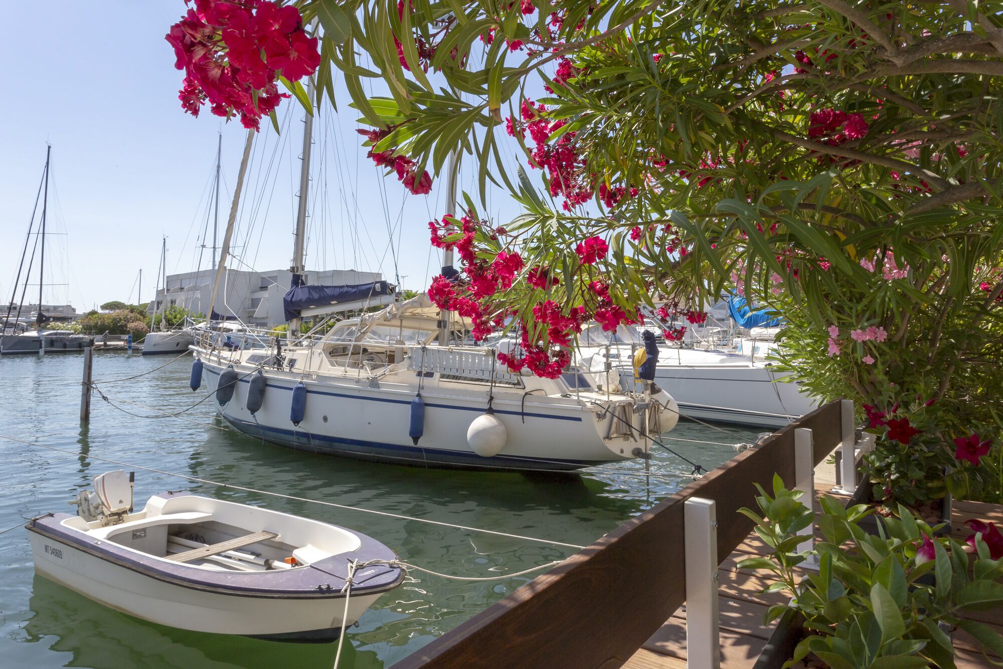 Jachthaven