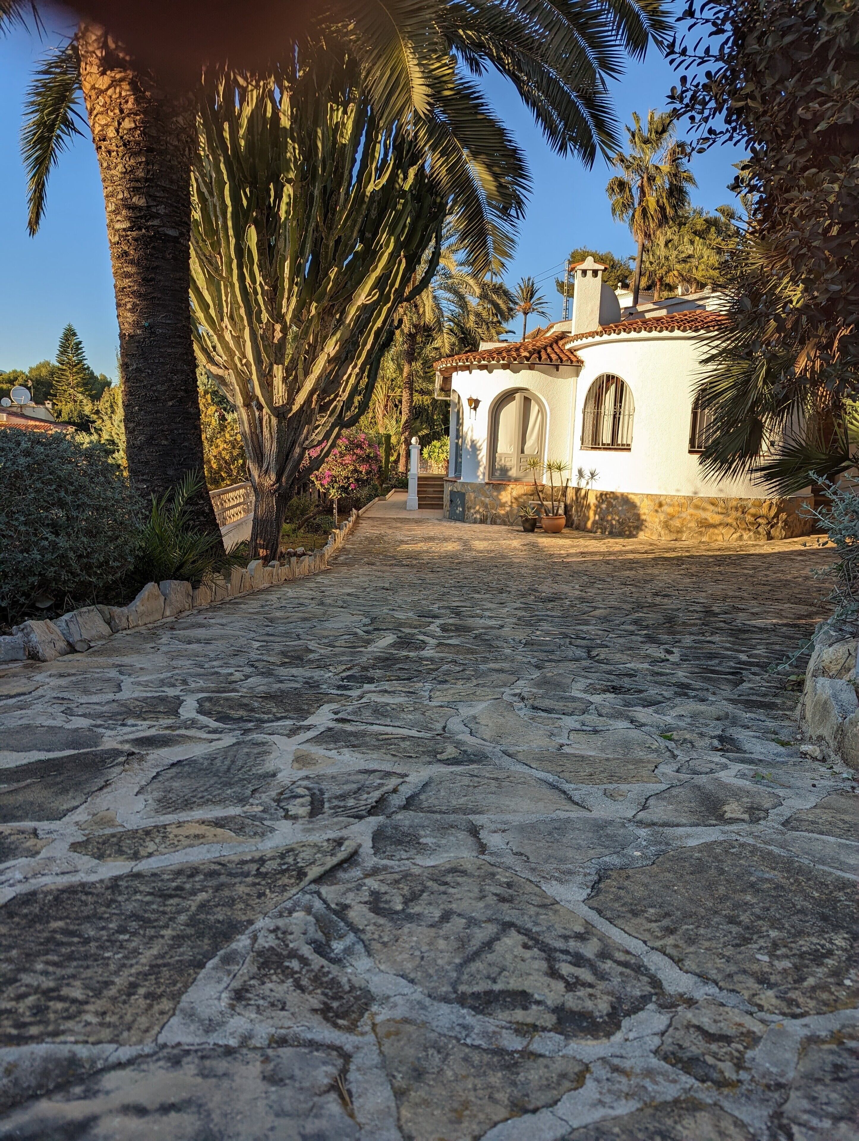A stone-paved pathway leading to a white building with a tiled roof, surrounded by palm trees and other vegetation.