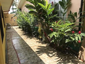 Jardín
