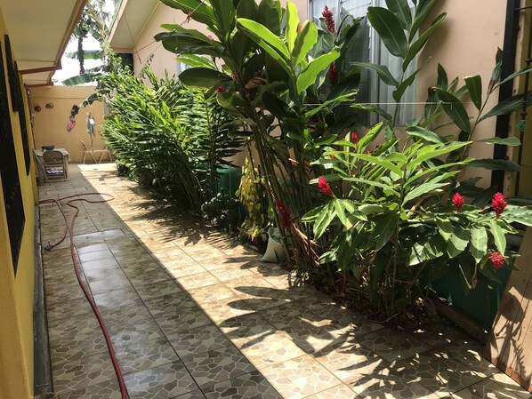 Garden - La casa del suizo (Desamparados)