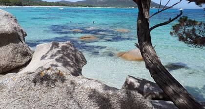 Palombaggia villa*** renovated 2 pers. heated pool sea view