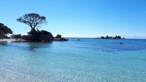 On the beach, sun-loungers - Palombaggia villa*** renovated 2 pers. heated pool sea view (Porto-Vecchio)