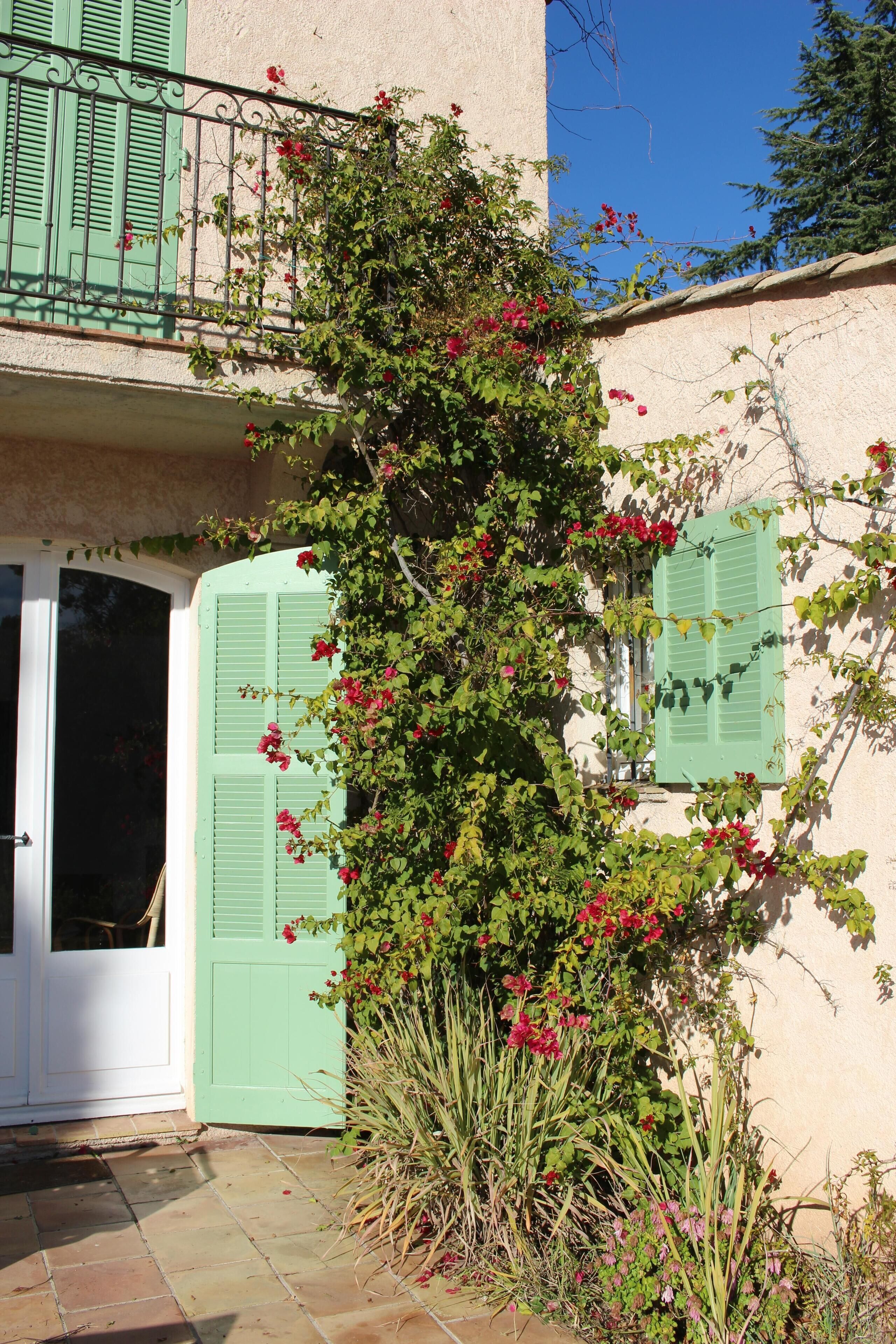 Un edificio con puerta y contraventanas verdes, rodeado de abundante vegetación y plantas con flores.