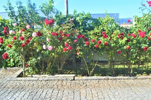 A garden with a variety of roses and a cobblestone pathway. - Casa Límia (Ponte de Lima)