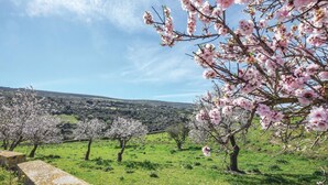 A landscape with blooming trees and a stone wall. - Lovely home in Ragusa with outdoor swimming pool (Ragusa)