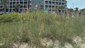 A multi-story building with balconies, located near a sandy area with vegetation. - S. Myrtle Beach Resort 135 steps to sand  (Myrtle Beach)
