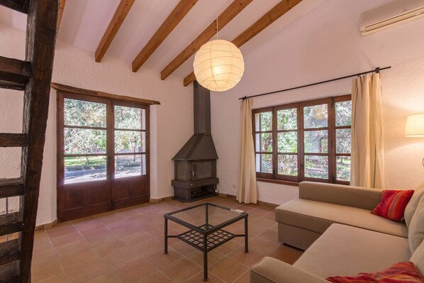 TV, fireplace, DVD player, books
