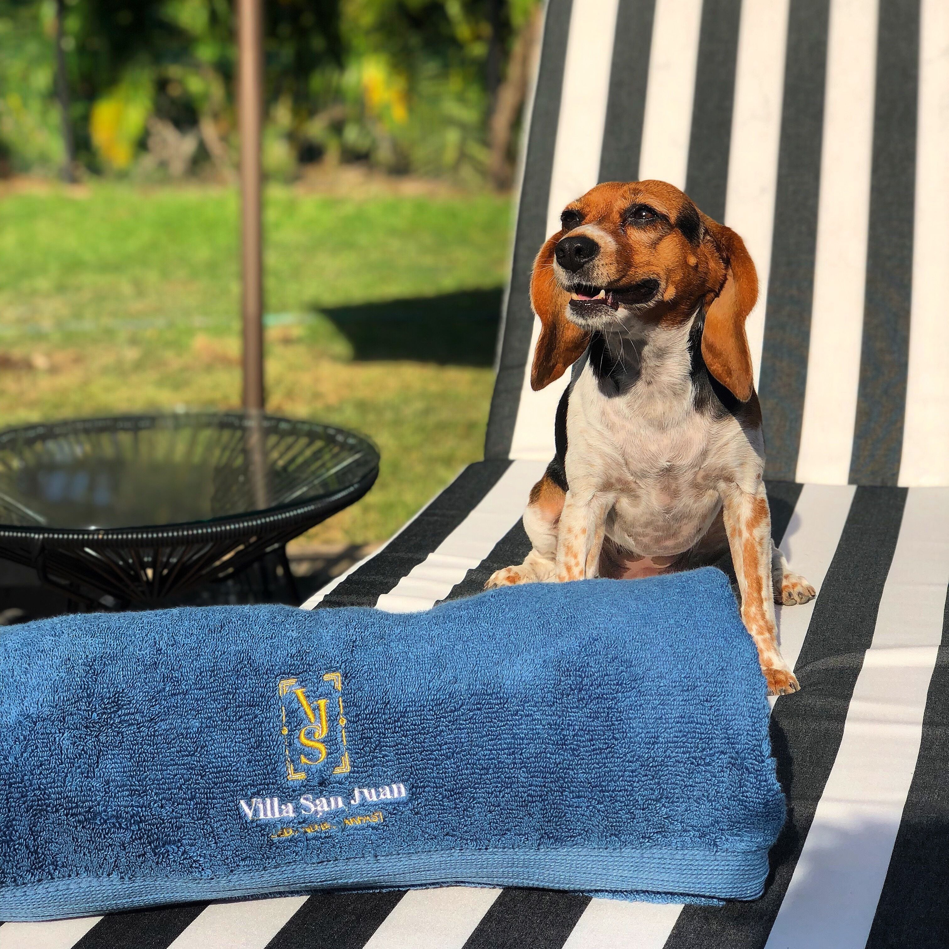 Foto - Villa San Juan Bed&Breakfast