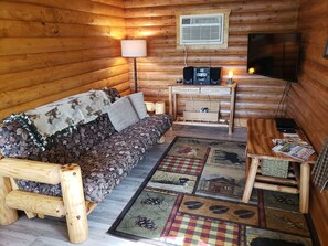 Smart TV, fireplace, DVD player, video library