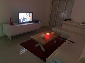 Fladskærms-tv, dvd-afspiller