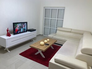 Flachbildfernseher, DVD-Player