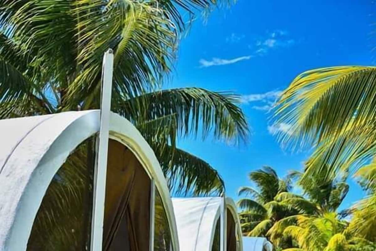 Bungalow básico, 1 habitación, baño privado, vista al mar | Ropa de cama hipoalergénica, edredón, wifi gratis y ropa de cama