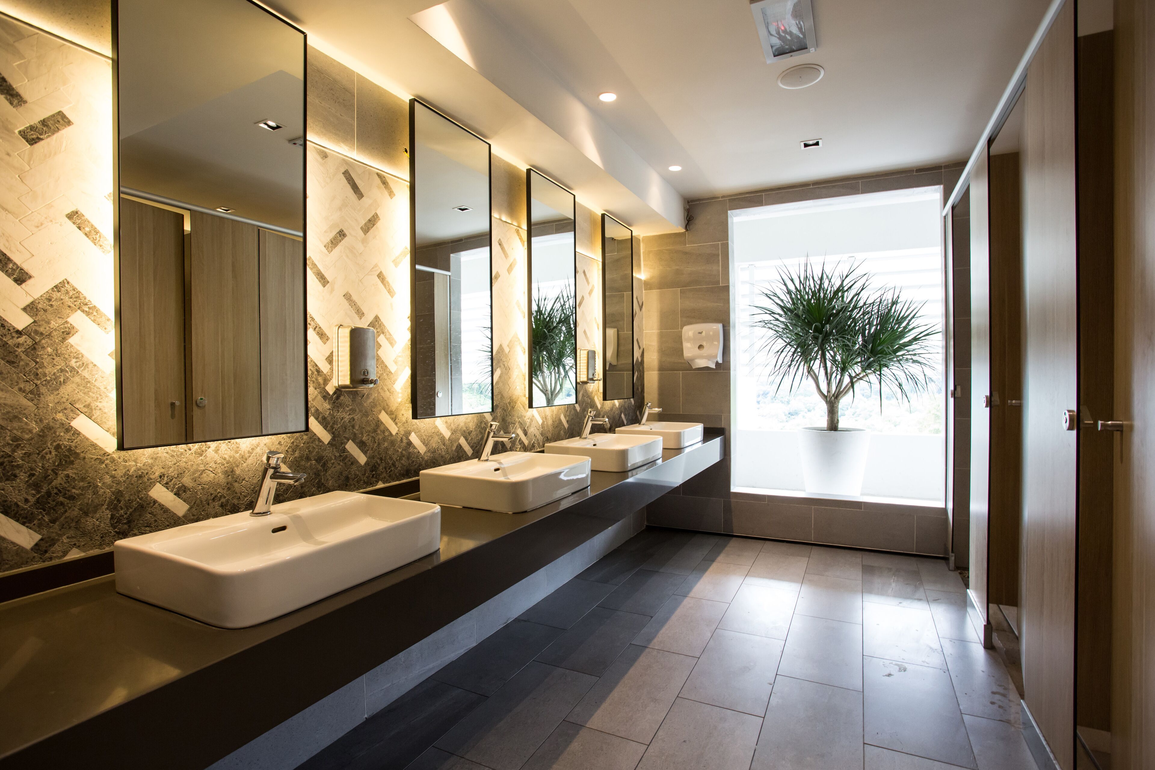A modern bathroom with three sinks, large mirrors, and a potted plant.