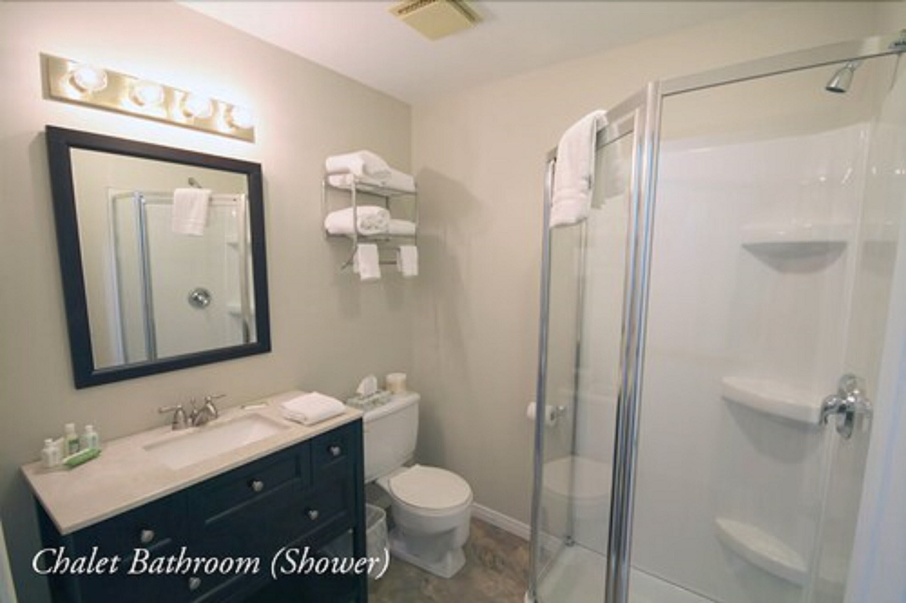 Ein Badezimmer im Chalet-Stil mit Dusche, Waschtisch mit Spiegel und Toilette.