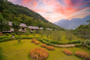Jardin