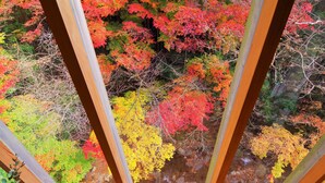 A view through a wooden-framed window of a forest with autumn foliage.