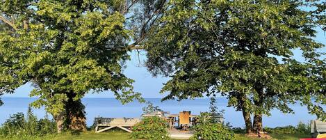 Ett grönområde med träd och utsikt över havet.