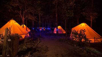 Un camping con tiendas de lona anaranjadas dispuestas en fila, rodeado de árboles y vegetación.