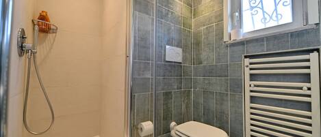 A bathroom with a glass-enclosed shower, a toilet, and a towel rack.