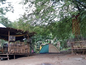 部屋からの景観