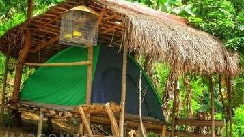 Basic Tent, Mountain View | Bed sheets