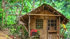 Una cabaña rústica de bambú con techo de paja, una ventana y un pequeño porche con plantas en macetas.