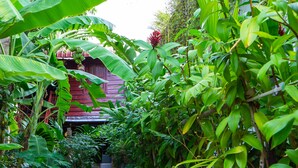 A narrow stone pathway flanked by lush green foliage and a brick wall. - Green Stay Village (Siem Reap)
