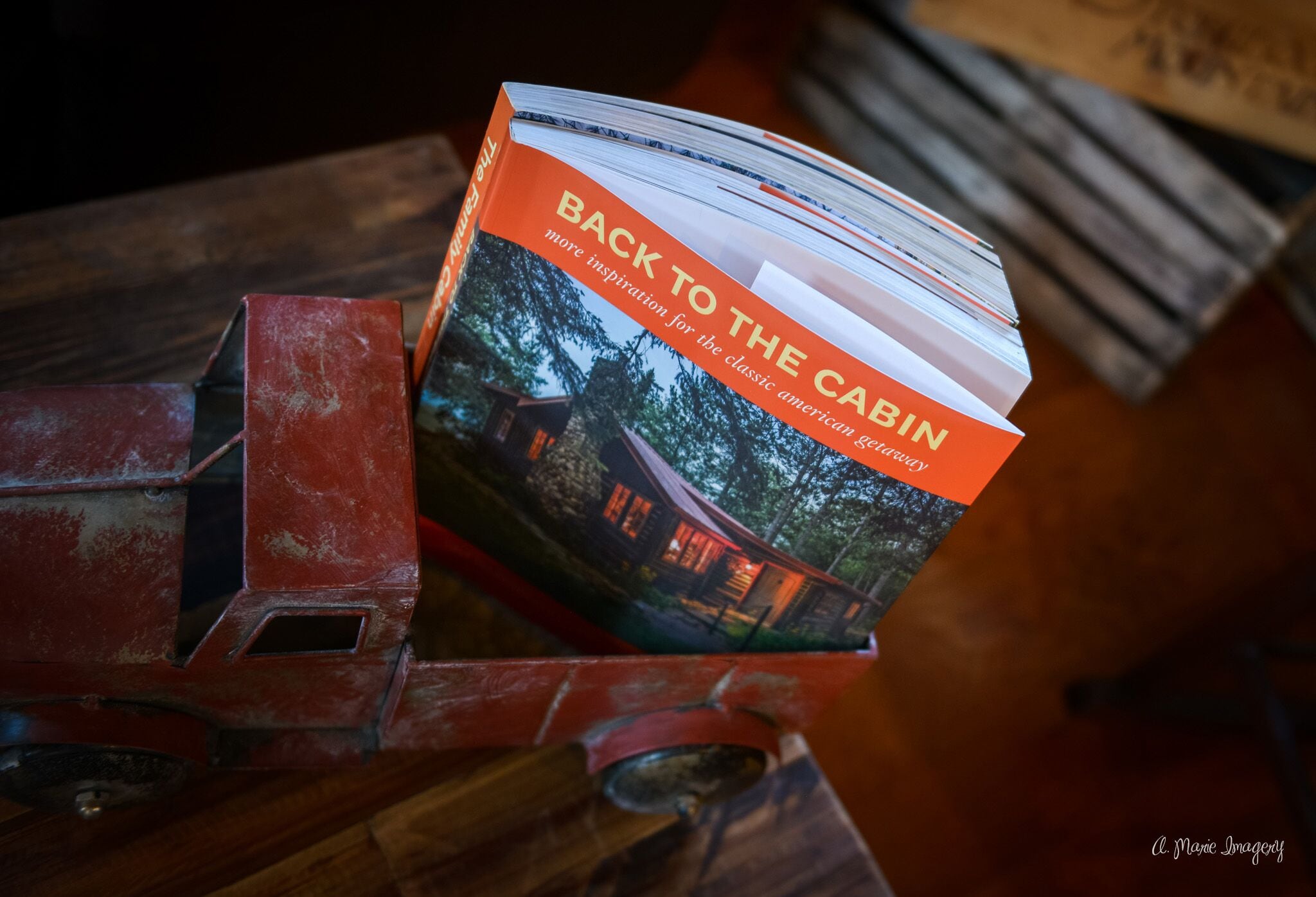 A book titled 'Back to the Cabin' with a cabin image on the cover, placed on a wooden surface.