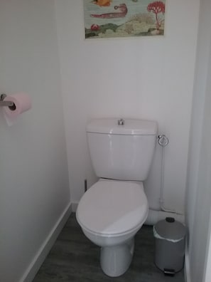 Regadera, secadora de cabello, papel de baño 