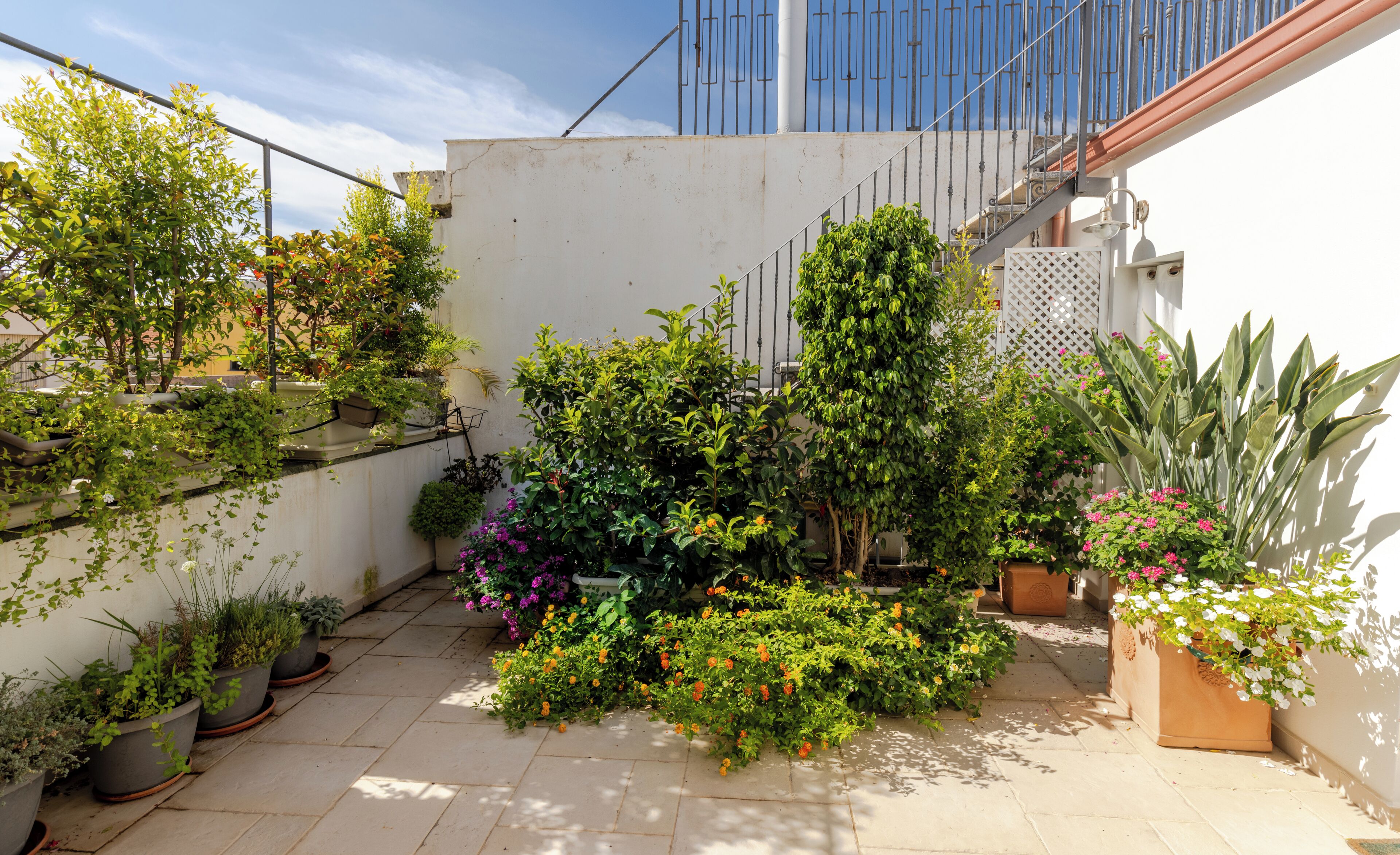 Photo - Janna 'e Mare