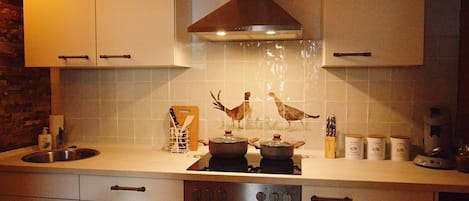 Comfort Apartment, 1 King Bed, Non Smoking, Kitchen (Steffensberg) | Private kitchen