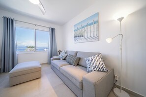 Smart-tv, een dvd-speler, boeken en een filmbibliotheek