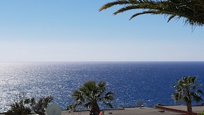 A coastal view with a clear sky, palm trees, and a satellite dish. - Refurbished 1-bed in popular Los Gigantes w/large terrace, sea & cliff views (Los Gigantes)