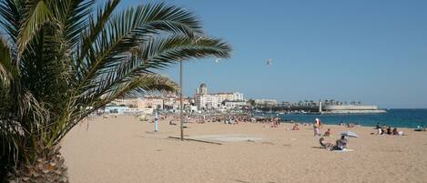 بالقرب من الشاطئ