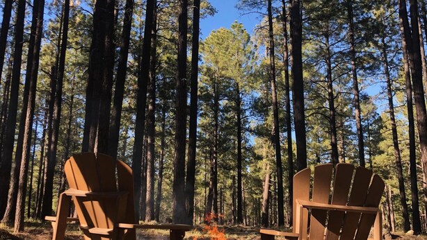 Dos sillas Adirondack de madera mirando un fuego en un bosque con altos pinos.