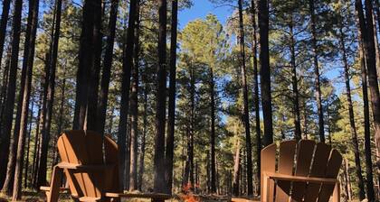 Modern cozy Forrest Lakes Cabin