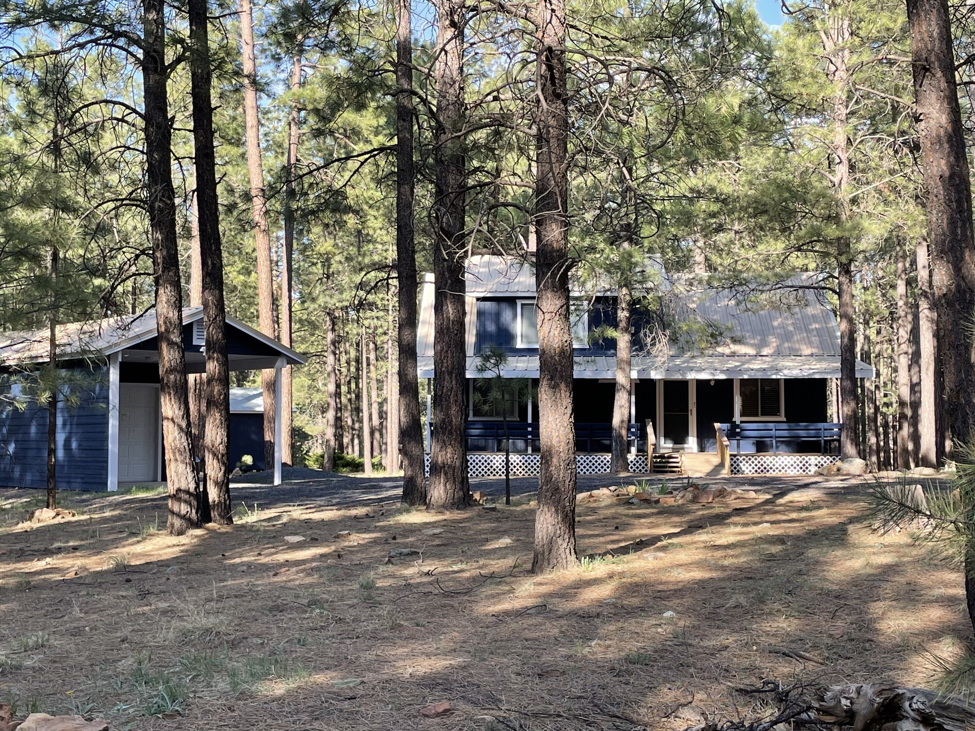 A cabin surrounded by tall pine trees, with a covered porch and a garage.