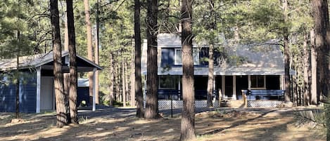 A cabin surrounded by tall pine trees, with a covered porch and a garage.