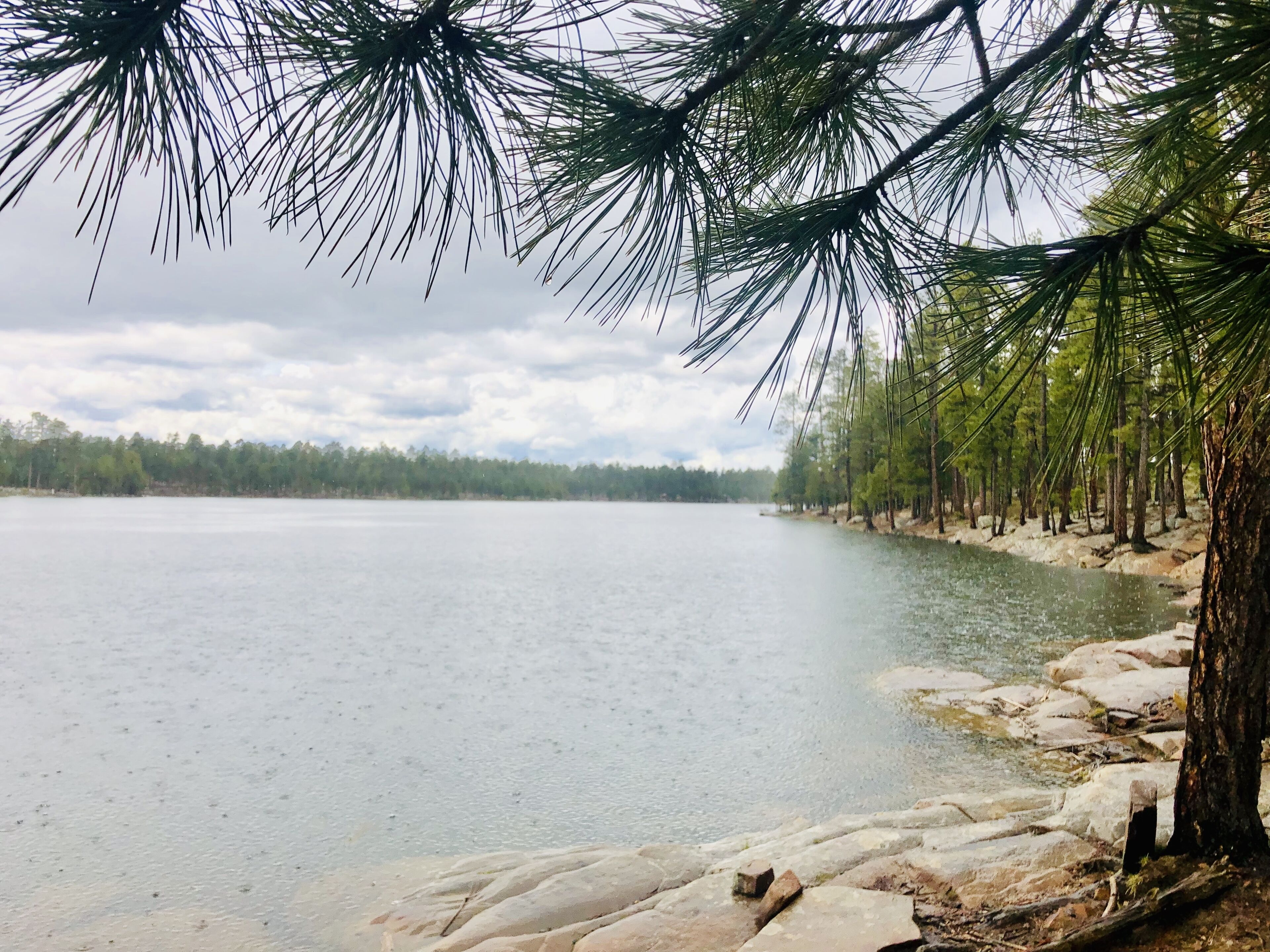 Un lago tranquilo con una orilla rocosa y un bosque denso al fondo.