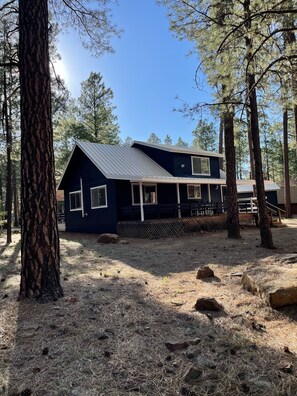 Exterior - Modern cozy Forrest Lakes Cabin (Forrest Lake)