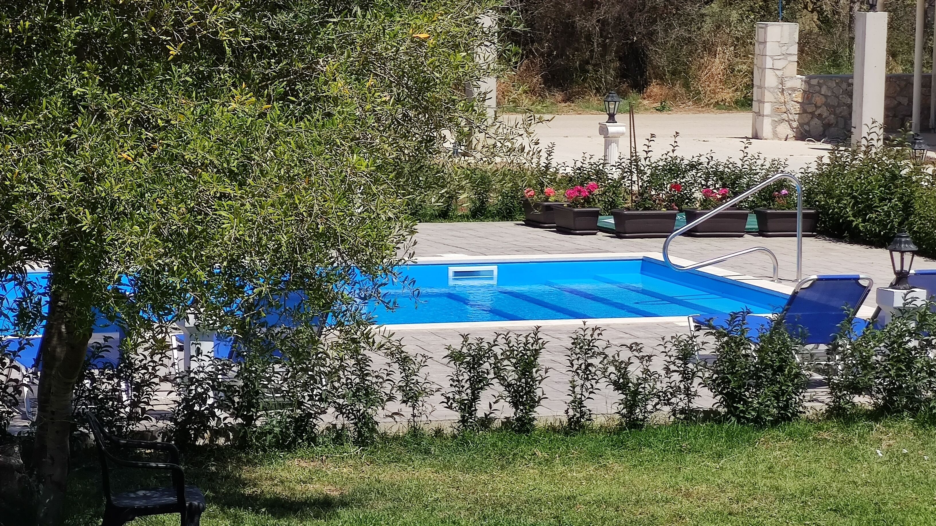 Una piscina rectangular con una superficie de agua azul cristalina, rodeada por un muro de piedra bajo y abundante vegetación.