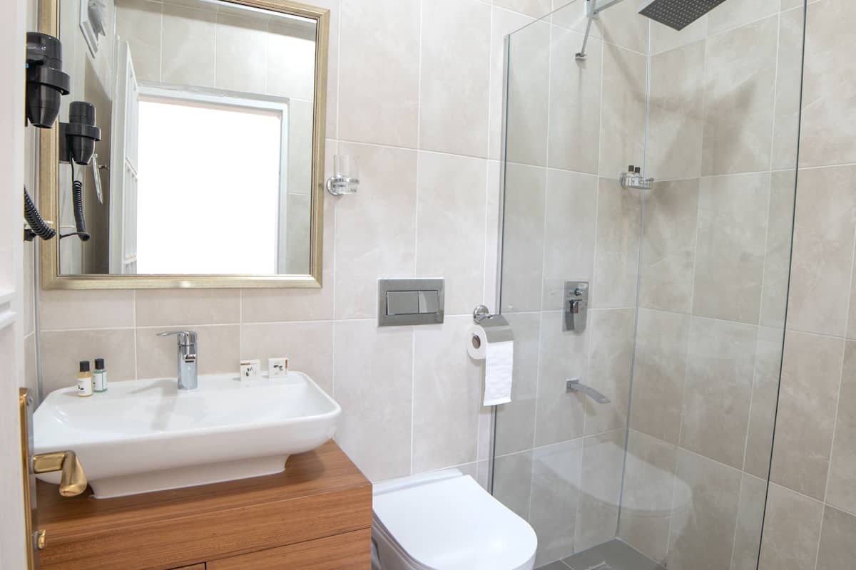 shower, free toiletries, hair dryer, slippers