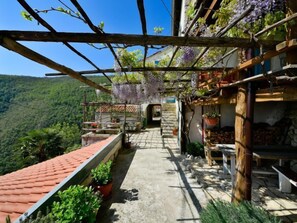 Terassi/patio