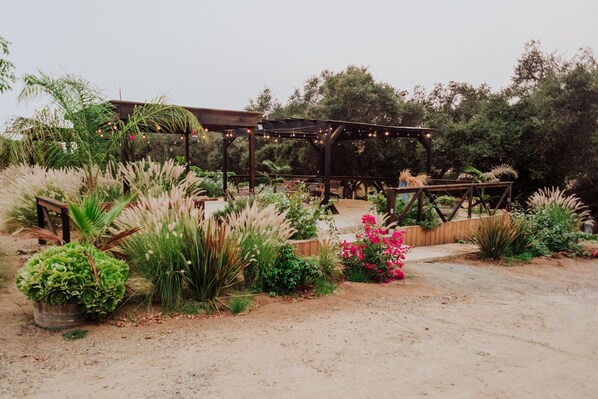 Garden - Casa Sara (Valle de Guadalupe)