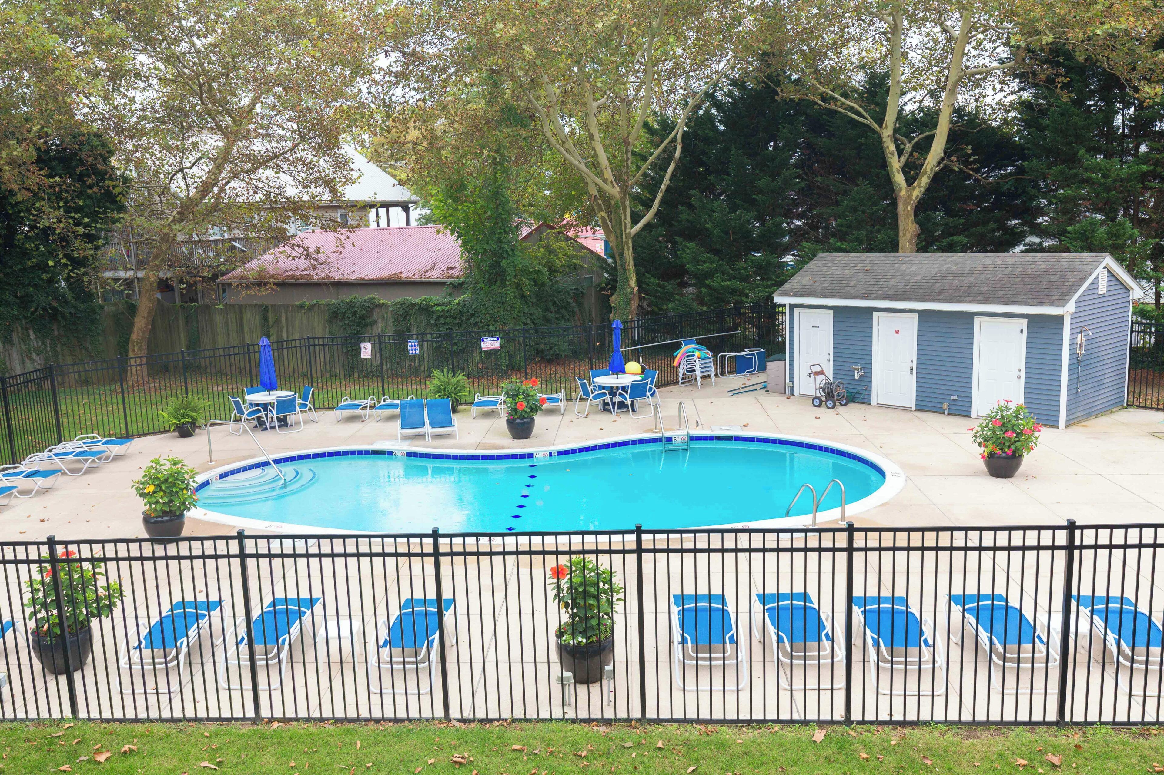 A swimming pool with lounge chairs and a shed in a fenced backyard.