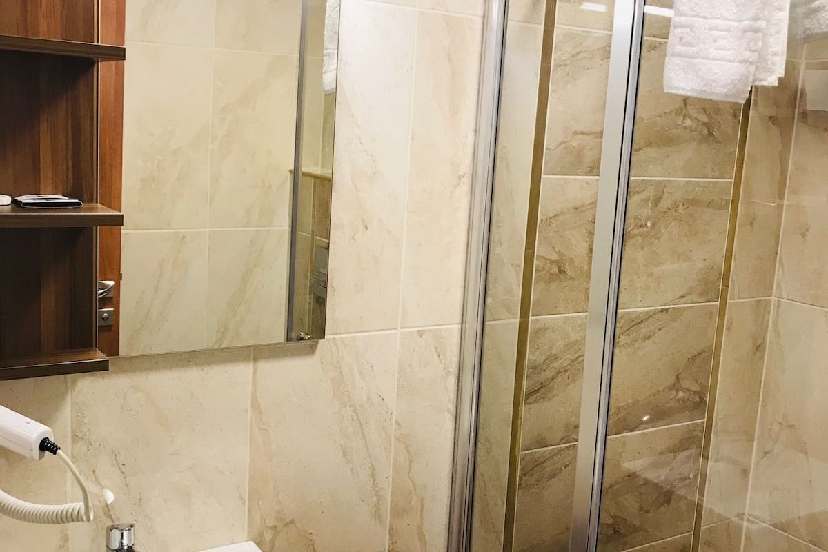 shower, free toiletries, hair dryer, slippers