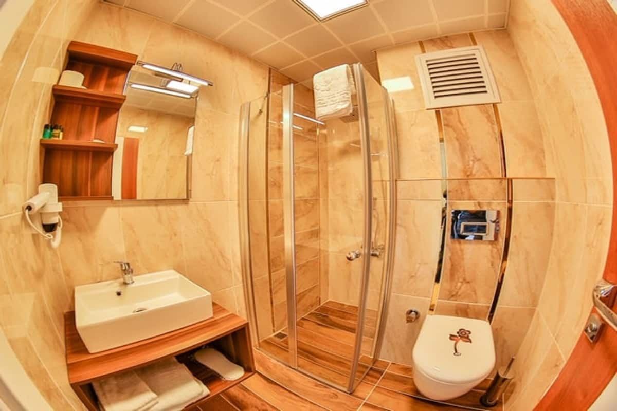 shower, free toiletries, hair dryer, slippers