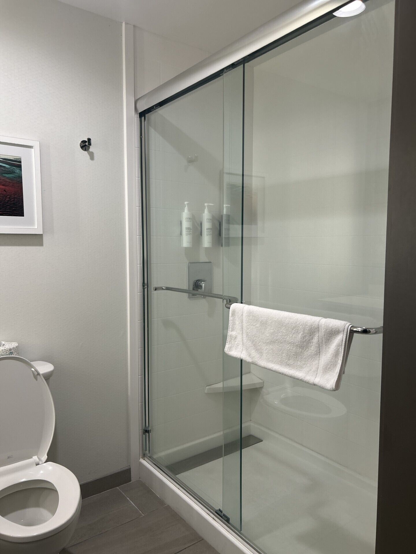 A modern bathroom with a glass-enclosed shower, a toilet, and a framed picture on the wall.